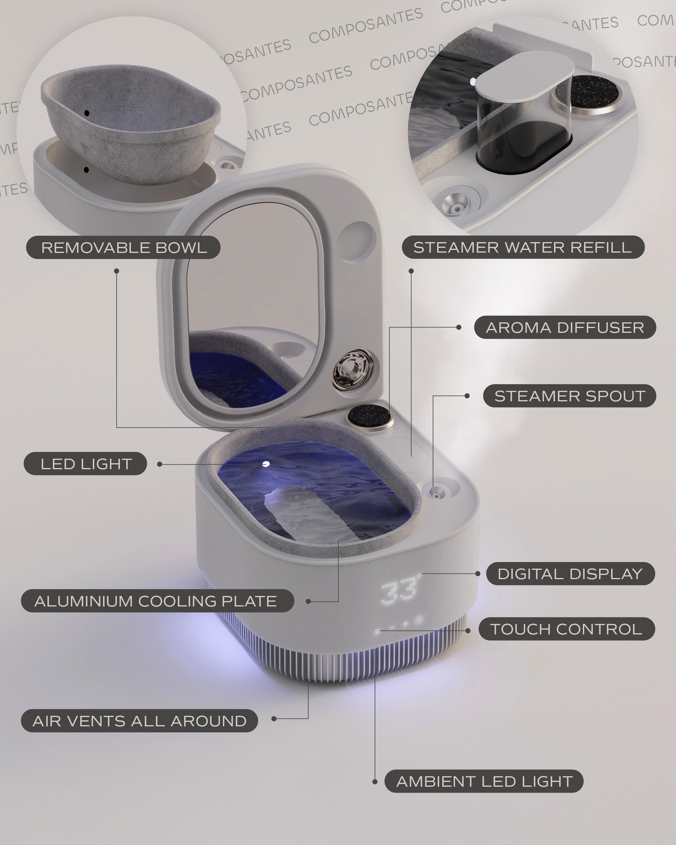 Features of the frosteam